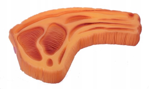 Zabawka gumowa gryzak dla psa psów 16 cm stek HIT