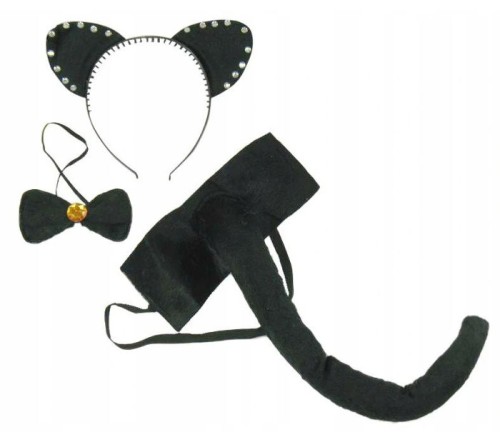 Strój przebranie wieczór panieński impreza kot