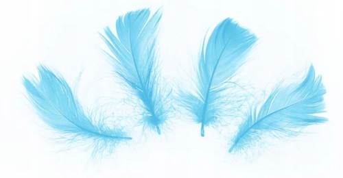 Piórka dekoracyjne pióra wypełnienie niebieskie