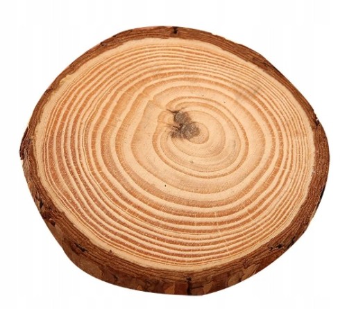 Dekoracja drewniana okrągła krążek krążki kółka z drewna 8 szt. 2-3 cm DIY