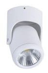 101W reflektor LED 25W NAŚWIETLACZ natynkowy 4000K